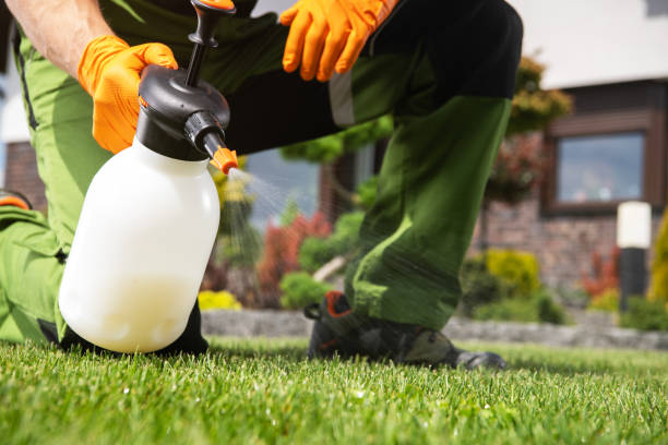 Flea Control Services in Rosemead, CA