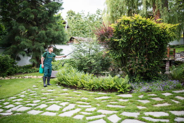 Best Affordable Pest Control Services  in Rosemead, CA