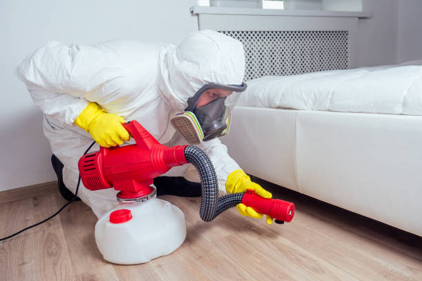 Best Best Pest Control Companies  in Rosemead, CA
