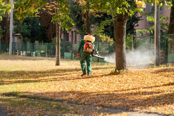 Best Pest Control Near Me  in Rosemead, CA