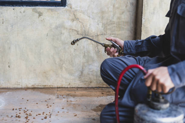 Best Affordable Pest Control Services  in Rosemead, CA