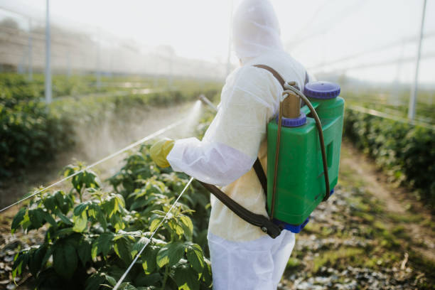 Best Commercial Pest Control Services  in Rosemead, CA